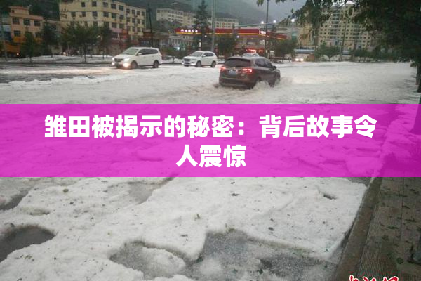 雏田被揭示的秘密：背后故事令人震惊