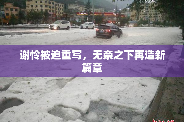谢怜被迫重写，无奈之下再造新篇章