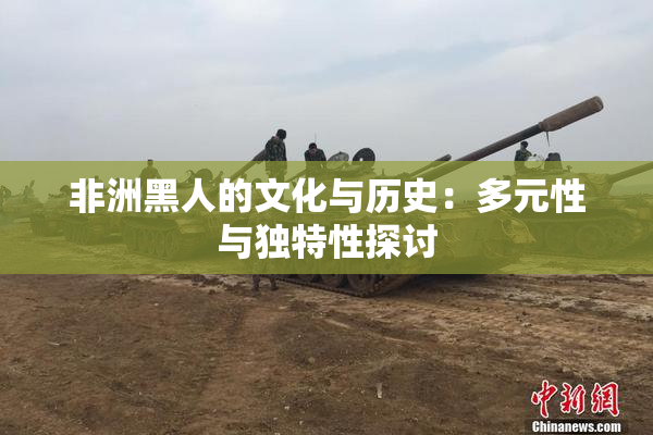 非洲黑人的文化与历史：多元性与独特性探讨