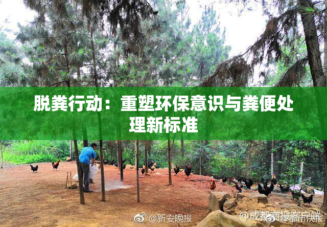 脱粪行动：重塑环保意识与粪便处理新标准