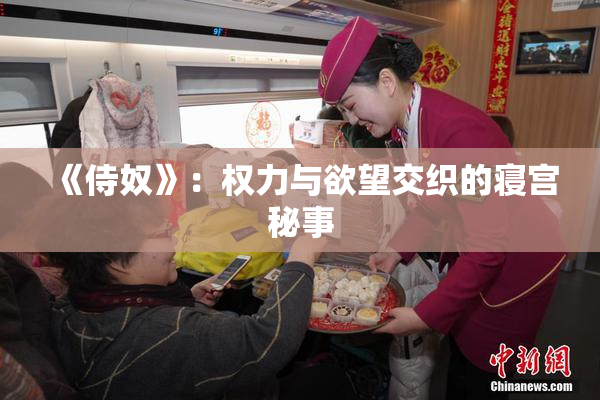《侍奴》：权力与欲望交织的寝宫秘事