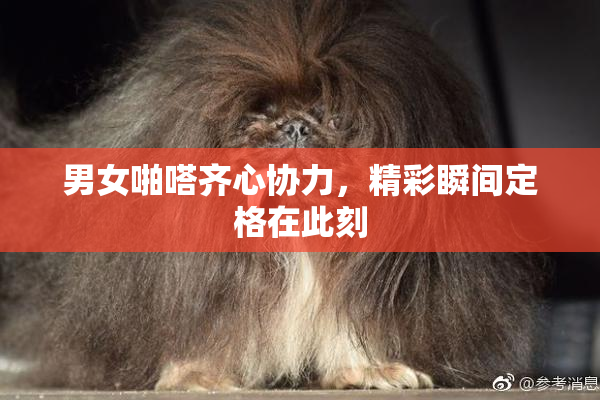 男女啪嗒齐心协力，精彩瞬间定格在此刻
