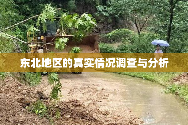 东北地区的真实情况调查与分析