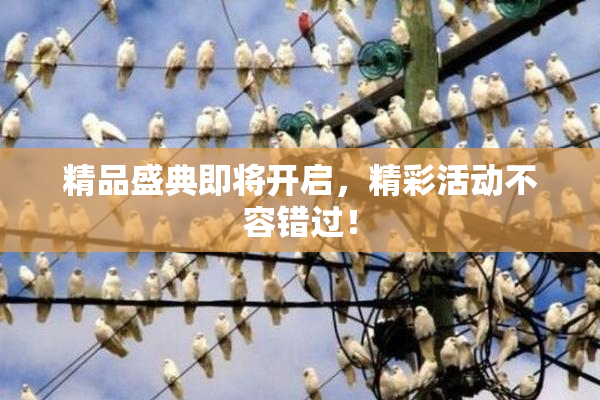 精品盛典即将开启，精彩活动不容错过！