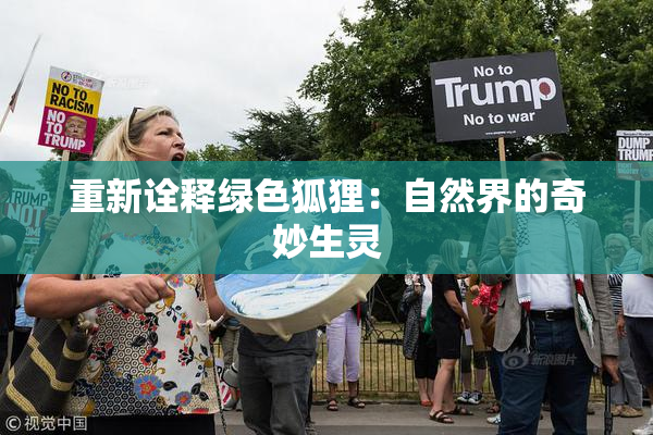 重新诠释绿色狐狸：自然界的奇妙生灵