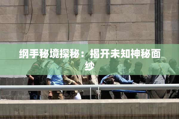 纲手秘境探秘：揭开未知神秘面纱
