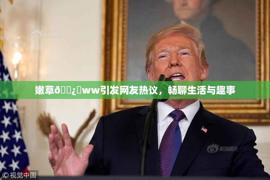 嫩草🌿‌ww引发网友热议，畅聊生活与趣事