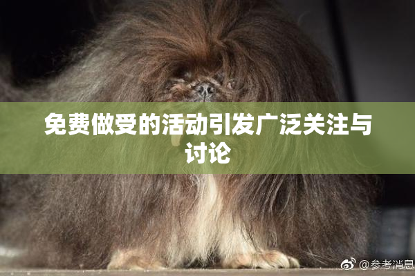 免费做受的活动引发广泛关注与讨论