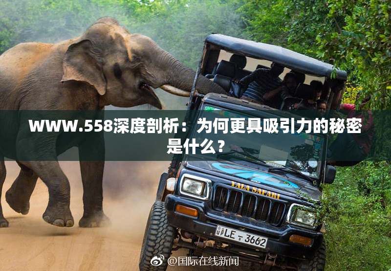 WWW.558深度剖析：为何更具吸引力的秘密是什么？