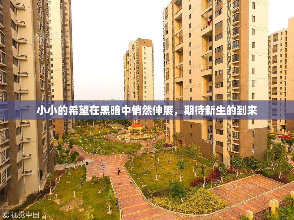 小小的希望在黑暗中悄然伸展，期待新生的到来