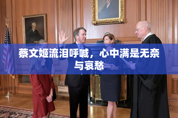 蔡文姬流泪呼喊，心中满是无奈与哀愁