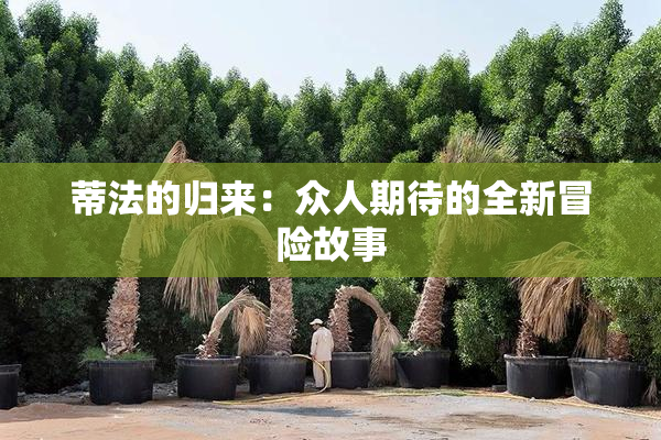 蒂法的归来：众人期待的全新冒险故事