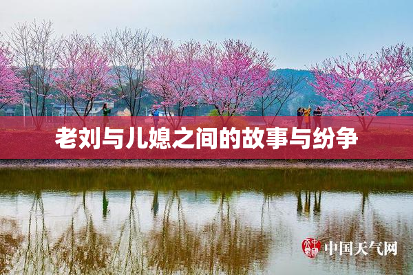 老刘与儿媳之间的故事与纷争