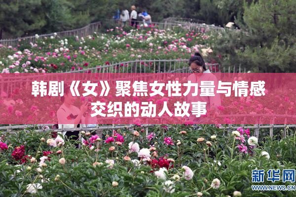 韩剧《女》聚焦女性力量与情感交织的动人故事