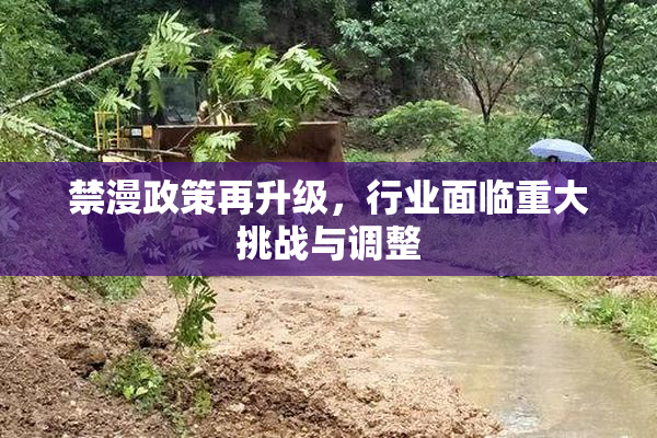 禁漫政策再升级，行业面临重大挑战与调整