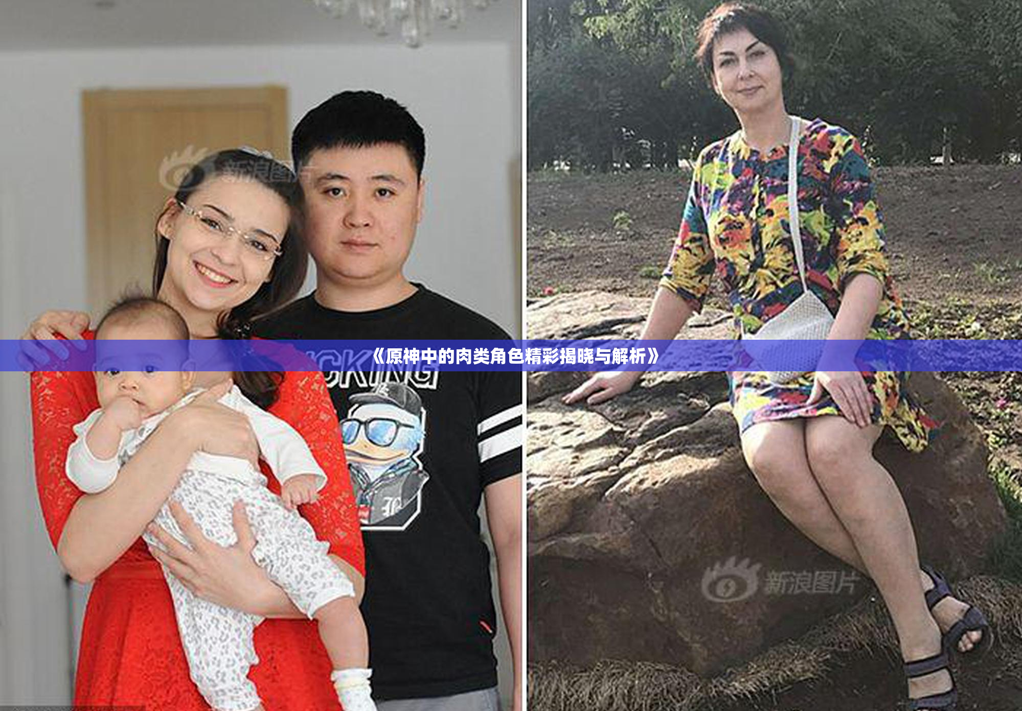 《原神中的肉类角色精彩揭晓与解析》