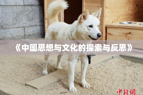 《中国思想与文化的探索与反思》