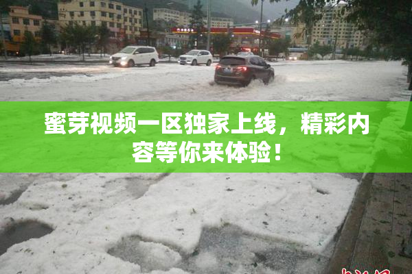 蜜芽视频一区独家上线，精彩内容等你来体验！