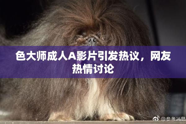 色大师成人A影片引发热议，网友热情讨论