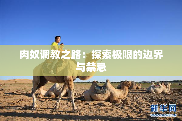 肉奴调教之路：探索极限的边界与禁忌