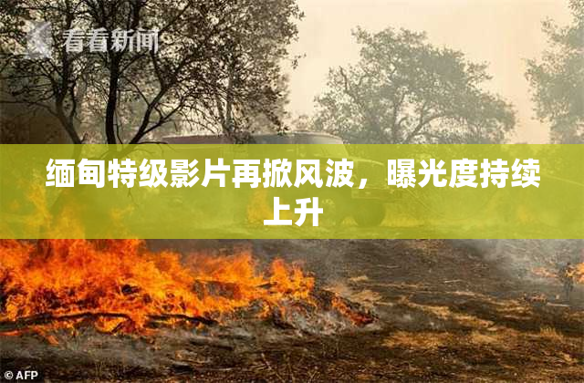 缅甸特级影片再掀风波，曝光度持续上升