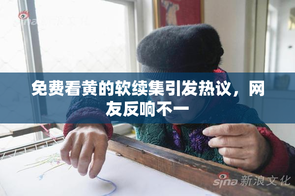 免费看黄的软续集引发热议，网友反响不一