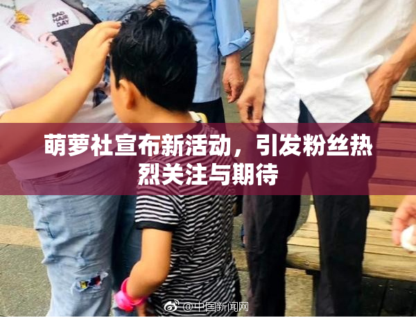 萌萝社宣布新活动，引发粉丝热烈关注与期待