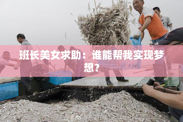 班长美女求助：谁能帮我实现梦想？