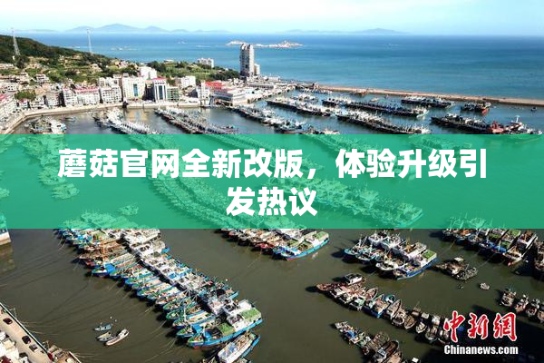 蘑菇官网全新改版，体验升级引发热议