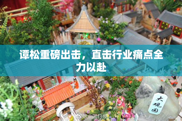谭松重磅出击，直击行业痛点全力以赴