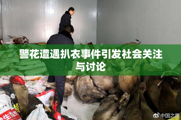 警花遭遇扒衣事件引发社会关注与讨论