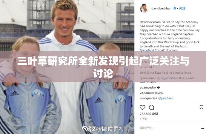 三叶草研究所全新发现引起广泛关注与讨论