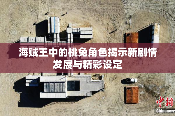 海贼王中的桃兔角色揭示新剧情发展与精彩设定