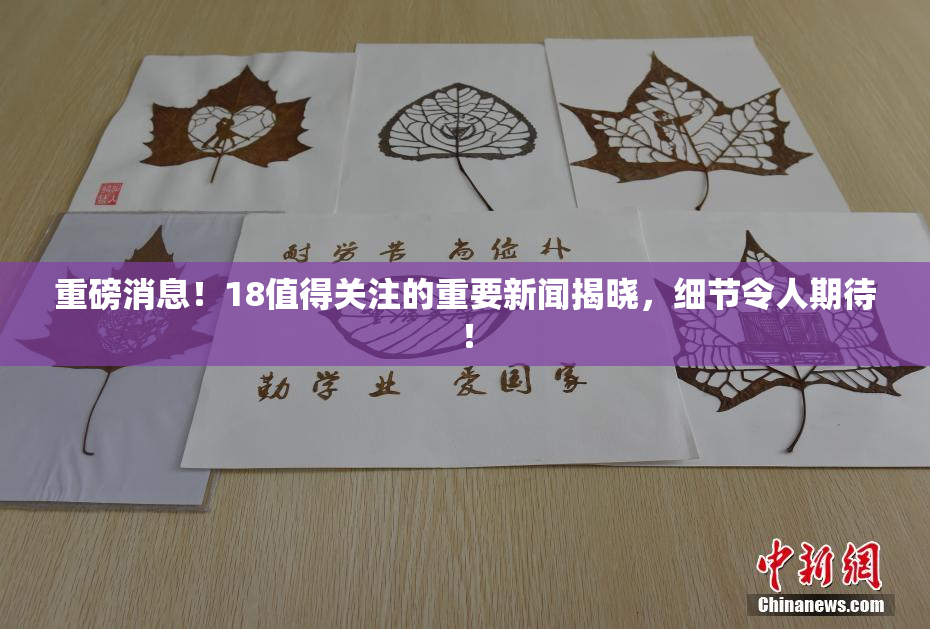 重磅消息！18值得关注的重要新闻揭晓，细节令人期待！
