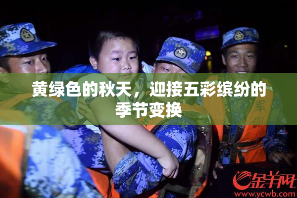 黄绿色的秋天，迎接五彩缤纷的季节变换