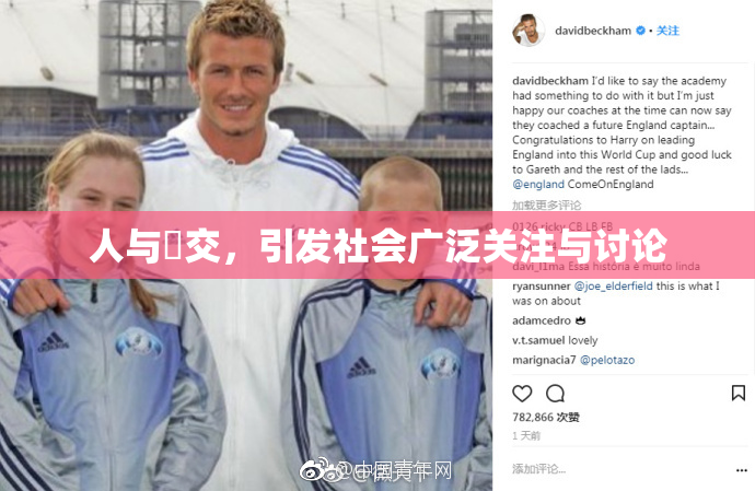 人与嘼交，引发社会广泛关注与讨论