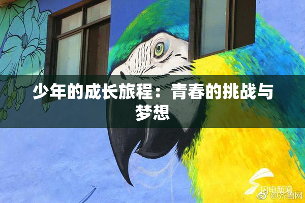 少年的成长旅程：青春的挑战与梦想