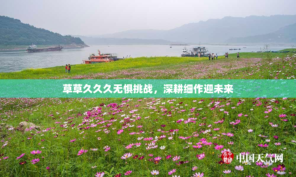草草久久久无惧挑战，深耕细作迎未来