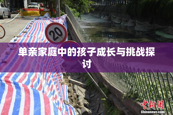 单亲家庭中的孩子成长与挑战探讨