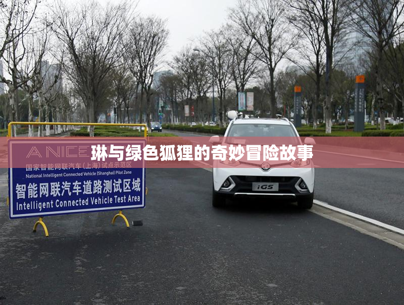 琳与绿色狐狸的奇妙冒险故事