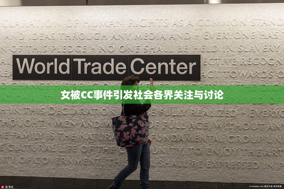 女被CC事件引发社会各界关注与讨论