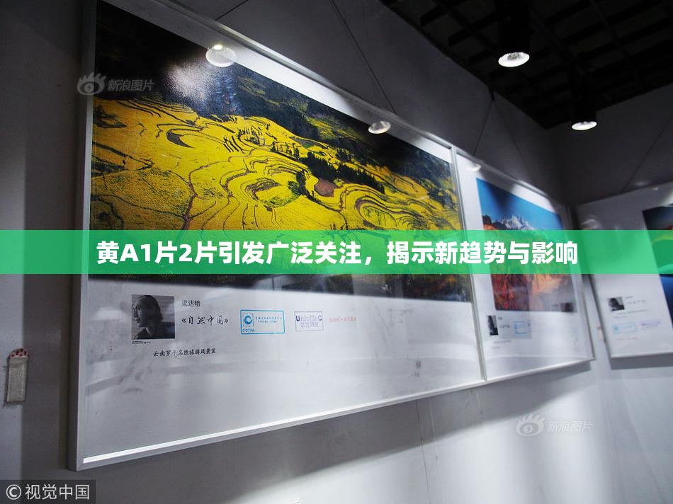 黄A1片2片引发广泛关注，揭示新趋势与影响