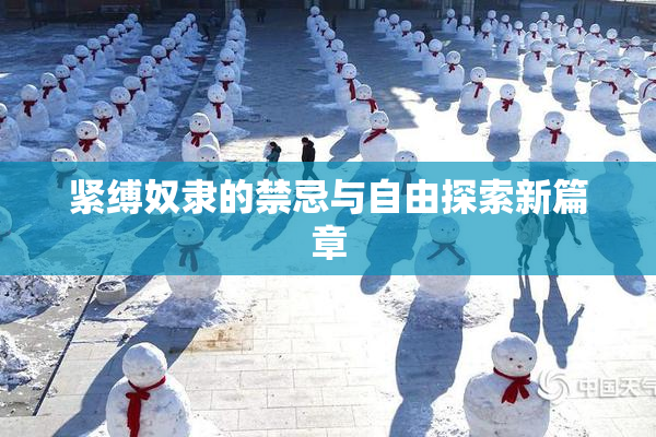 紧缚奴隶的禁忌与自由探索新篇章