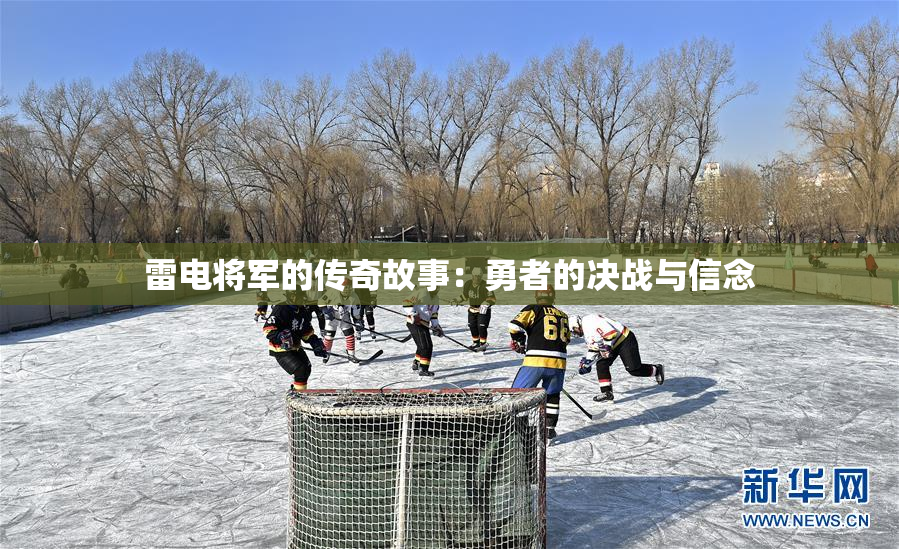 雷电将军的传奇故事：勇者的决战与信念