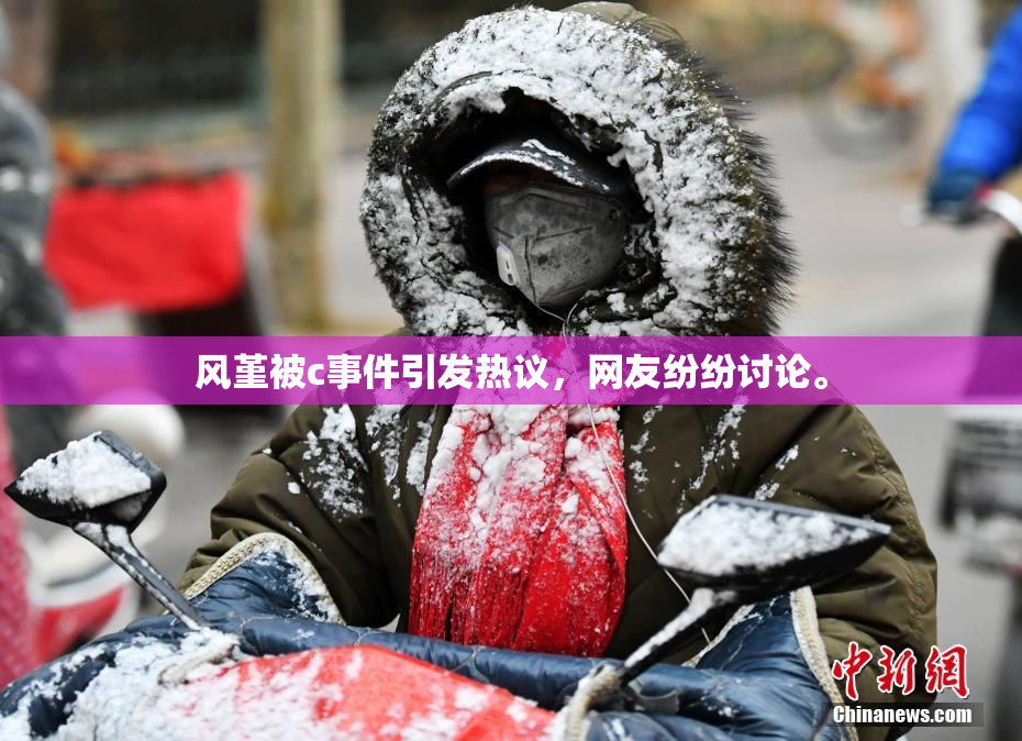 风堇被c事件引发热议，网友纷纷讨论。
