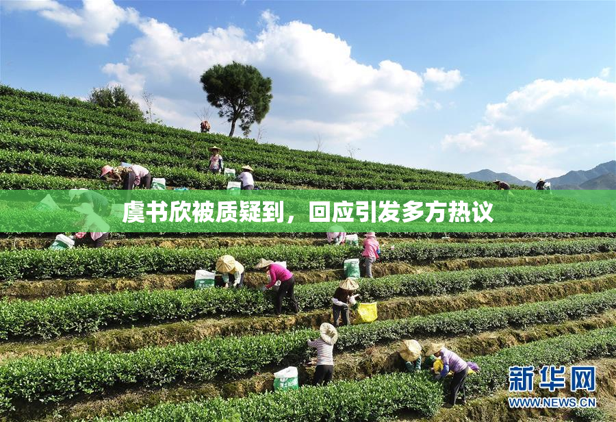 虞书欣被质疑到，回应引发多方热议