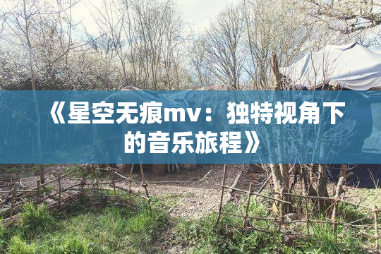 《星空无痕mv：独特视角下的音乐旅程》