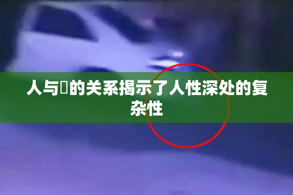 人与嘼的关系揭示了人性深处的复杂性