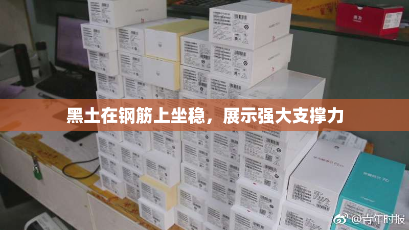 黑土在钢筋上坐稳，展示强大支撑力