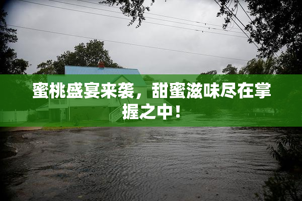 蜜桃盛宴来袭，甜蜜滋味尽在掌握之中！